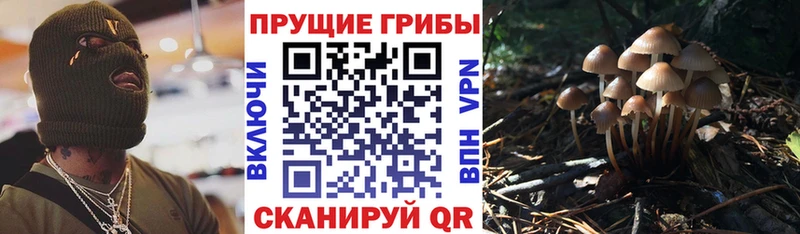 Галлюциногенные грибы мицелий  Ялта 